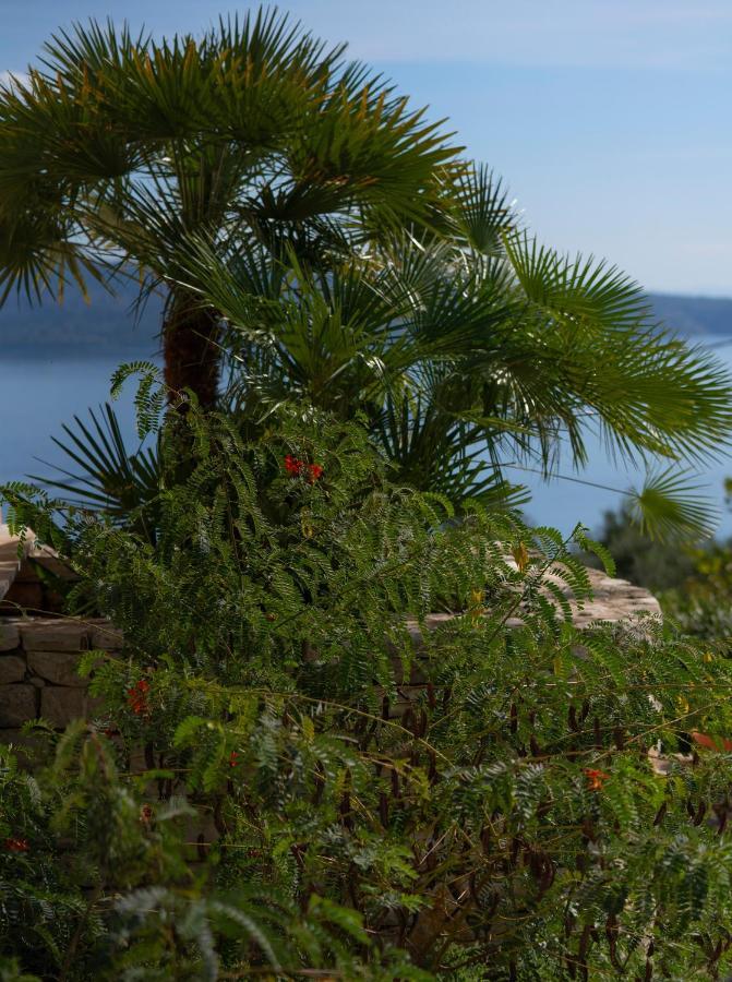 Bellina Villa Agnítsini Dış mekan fotoğraf